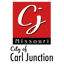 Carl Junction Community Center Pickleball logo